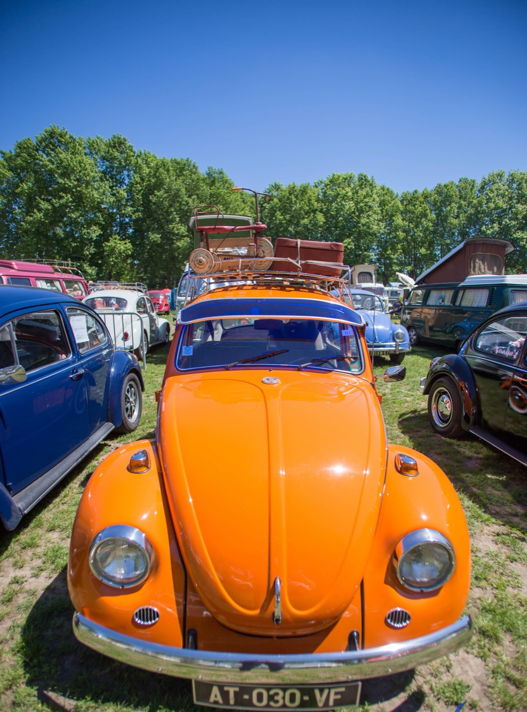 Coccinelle orange — Cox Show